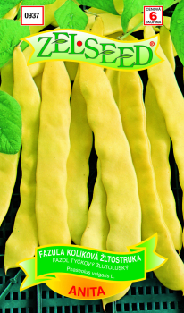 Samen - BOHNE 'ANITA� 38 g