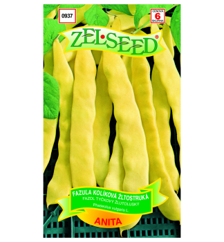 Samen - BOHNE 'ANITA� 38 g