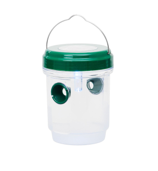 Insektenf�nger Strend Pro, solarbetrieben