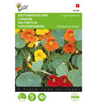 Samen - KAPUZINERKRESSE-Mischung