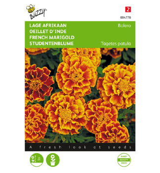 Samen - STUDENTENBLUME 'BOLERO'