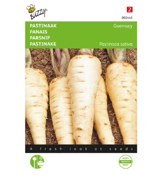 Samen - PASTINAKE �HOLLOW CROWN�