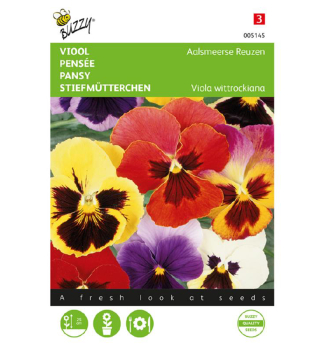 Samen - STIEFM�TTERCHEN mischung