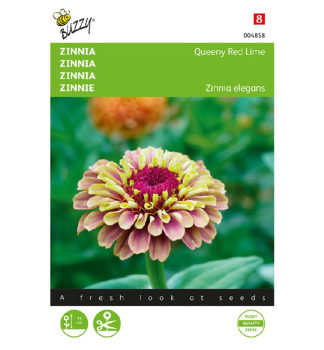 Samen - ZINNIE 'QUEEN LIME RED'