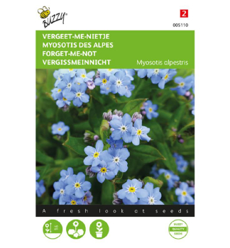 Samen - Vergissmeinnicht bau