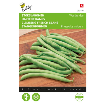 Samen - BOHNEN �WESTLAND�