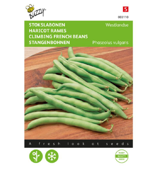 Samen - BOHNEN �WESTLAND�