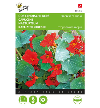 Samen - GR�SSERES KAPUZIN 'PRINCESS OF INDIA'