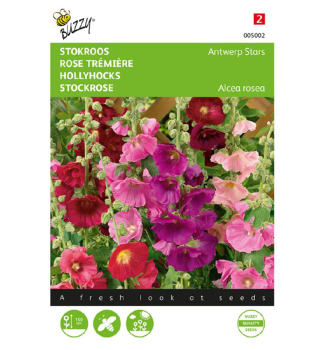 Samen - STOCKROSE �ANTWERP STARS� Mischung