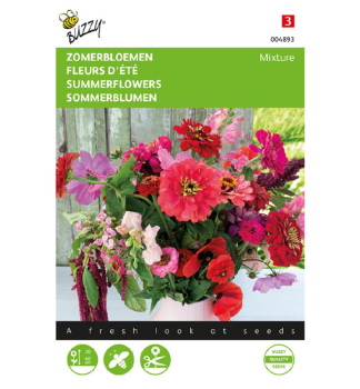 Samen - SOMMERBLUME rosa, red