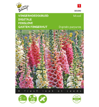 Samen - Fingerhut  Mischung