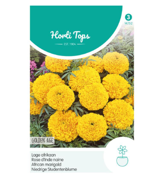 Samen -  Grossbl�tige TAGETES �GOLDEN AGE niedrig