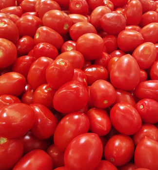 Tomate cherry 'ROMA', Cont. 1 l