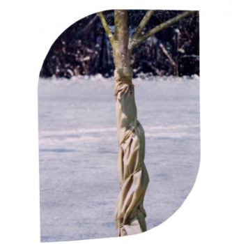 Winterschutz der Bume 5 x 1,5 m