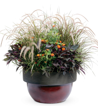 Obr�zok (5)