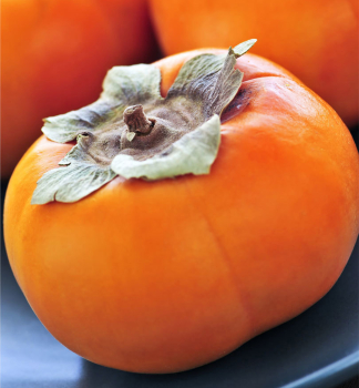 Ebenholztomate / Hurmikaki �TIPO�, 200-220 cm, Cont. 9,5 l