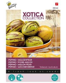 Samen - XOTICA MELONE 'PEPINO'