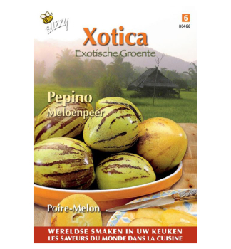 Samen - XOTICA MELONE 'PEPINO'