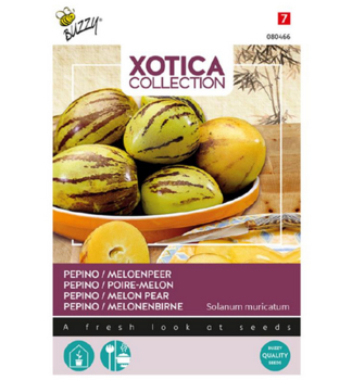 Samen - XOTICA MELONE 'PEPINO'