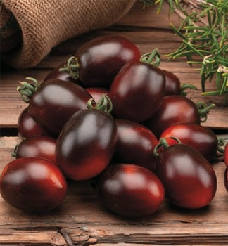 Cherry Tomate �MINIZORRO F1� Cont. 0,5 l