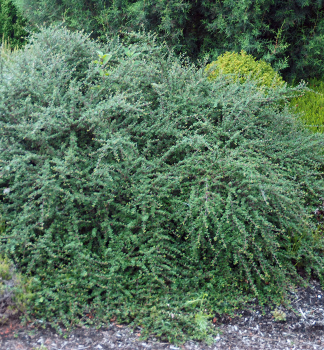 Obrzok (2)