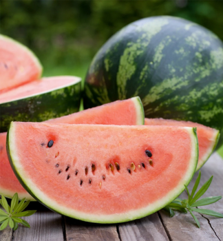 Melonenrot BOMBER F1, Cont. 0,5 l