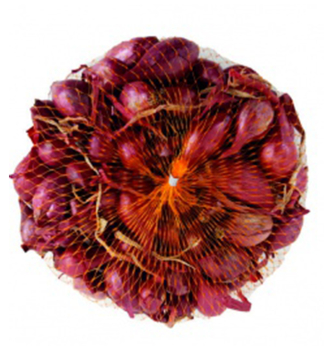 Steckzwiebeln 'KARMEN' 8-15 mm, 250g