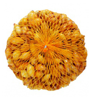 Steckzwiebeln 'V�ETANA' 8-21 mm, 250 g