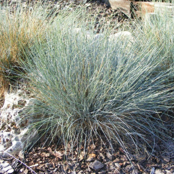 Obrzok (1)