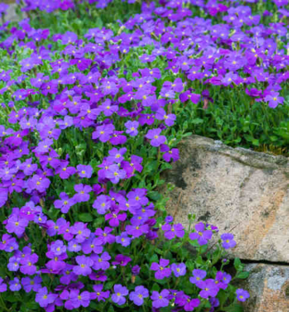 Blaukissen �KITTE� BLUE� Cont. 0,5 l