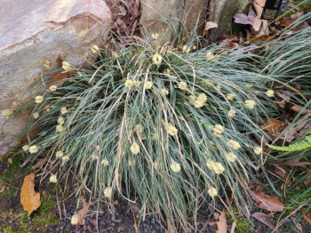 Obrzok (5)