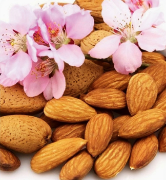 Smandel NIKOL Unterlage Smling, 140-150 cm, Cont. 6 l