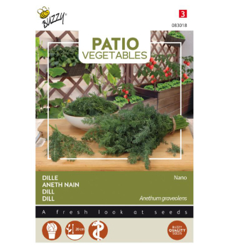 Samen - PATIO DUFTENDER MINI-DILL 'NANO'