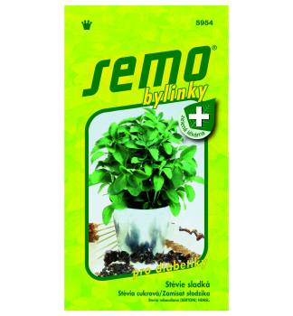 Samen - STEVIE  S�SSKRAUT�