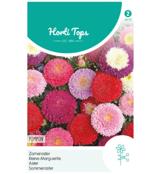 Samen - SOMMERASTER POMPON
