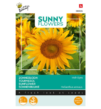Samen - SONNENBLUME IRISH EYES.