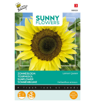 Samen - SONNENBLUME LEMON QUEEN