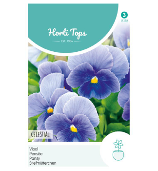 Samen - Stiefm�tterchen lichtblau