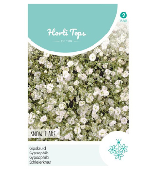 Samen - SCHLEIERKRAUT wei�