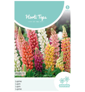 Samen - LUPINE 'MINARETTE' Mischung