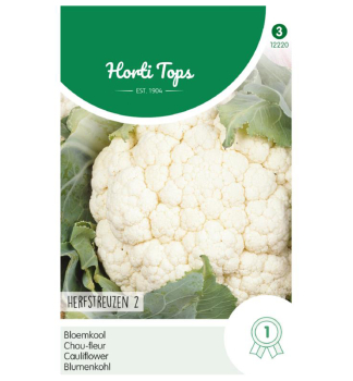 Samen - BLUMENKOHL 'AUTUMN Giant 2'