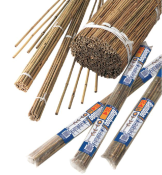 Bambusstab 90 cm, 20 Stck im Paket