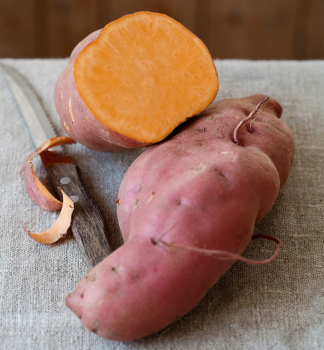 S��kartoffelsorte �ARANCIO�, Cont. 0,5 l