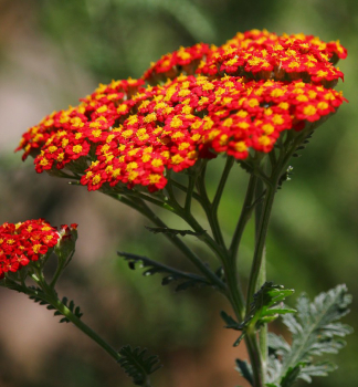 Obr�zok (4)