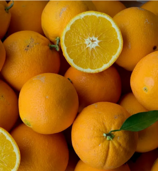 Orangebaum �NAVELATE� 15-20 cm, Cont. 2 l