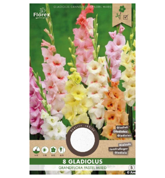 Zwiebeln - Gladiole  (Gladiolus) PASTEL MIX, Packungsinhalt 8 St.