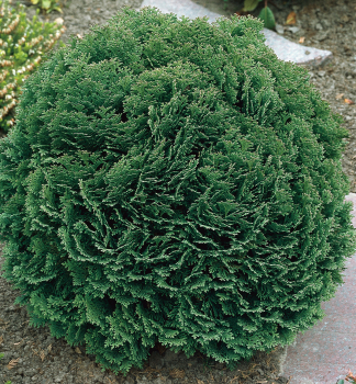 Obrzok (2)