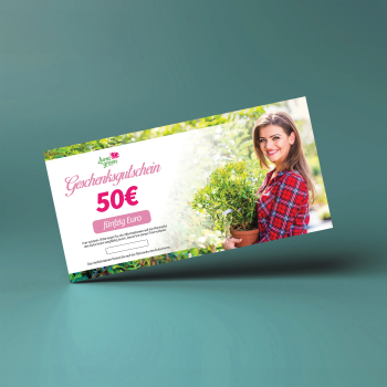 Ein Geschenkgutschein fr einen Einkauf im Wert von 50 Euro